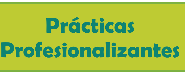 PRÁCTICAS PROFESIONALIZANTES